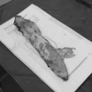 금빛동물수술센터 이미지