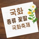 깊어가는 가을의 플로리스트(10월) | 가을의 대표 꽃, 국화 종류 · 꽃말 · 가볼 만한 국화 축제까지 한번에