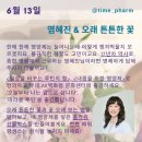 하스카 이미지