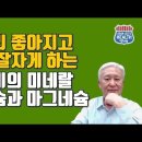 칼슘 마그네슘 아연 비타민D3...몸이 보내는 마그네슘 결핍 신호 10가지-*** 이미지