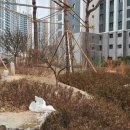 용산-현장-90 이미지