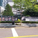 전파무기 조직스토킹 인권위 6월 14일 시위결과 보고 이미지