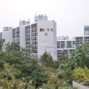마포도화우성아파트 티스토리