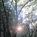 보만정지 이미지