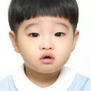데이디디 네이버블로그