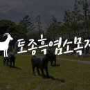 토종흑염소 이미지