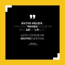 와이즈닥터부동산중개 이미지