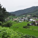 섶밭들마을 이미지