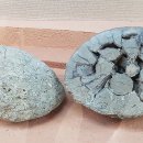 부산해양자연사박물관 이미지