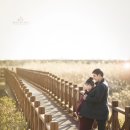 소이베이비스튜디오