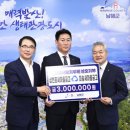 미송 이미지