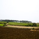신창4 발전소 네이버블로그