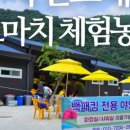 도마치자연그대로캠핑장 이미지