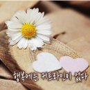 행복에는 커트라인이 없다 이미지