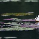 촉촉이네 이미지