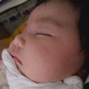 [출산선물] 잇템 마베비 젖병 보틀 워머 사용 후기