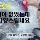 포항 오도리 파도가 꽤 쳤던날 ~ 이미지