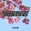 봄이 왔나 봄 이미지