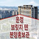 텐타입 이미지