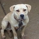 오공이 농장 이미지