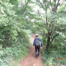 고은초등학교 이미지