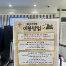 코인킹 | 월드킹 안산점 일요일 오픈런후기! 주차 / 가격 / 코인획득방법