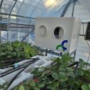 상승농장2 이미지