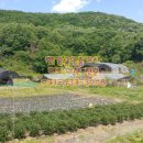 여주한강공인중개사사무소 이미지