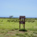 샌드비치 이미지