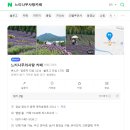카페라벤더숲 | [포용 일상] 느티나무의 사랑카페 '라벤더 축제' 방문 후기