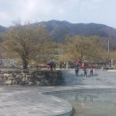 산수유꽃길로 이미지