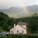 산지골민박 Daum카페