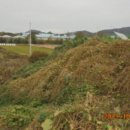 대유태양광발전소 이미지