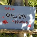 장안나식품
