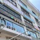 남산동물병원 | 중구 신당동 동물병원 남산동물병원 진료시간 접근성 이용후기