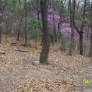 돌뫼식당 이미지