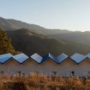 새재리아 이미지