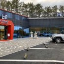 동해안로L 이미지