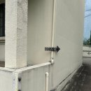 덕진-126 이미지