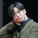 히얼퍼피 이미지