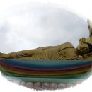 영남농장 이미지