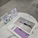 다이트경기수원 이미지