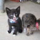 경훈농장 이미지