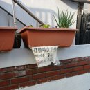 즉석김밥마을 이미지