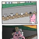 민재약국 | 🐰