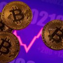 원치메디 이미지