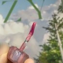 얼터너티브스테레오 립 포션 슈가 글레이즈 틴트 2종 (로즈볼, 와인볼) 가을 뮤트의 발색 리뷰 !!