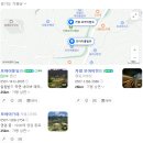 가평 모아이카페 다녀온 후기