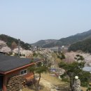 솔나무황토방