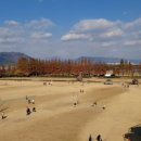 화명생태공원(화명운동장 내) 이미지